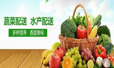 農副產品種植與配送 從田間到餐桌的品質新生